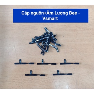 Cáp nguon + Volum V220/ Bee Vsmart