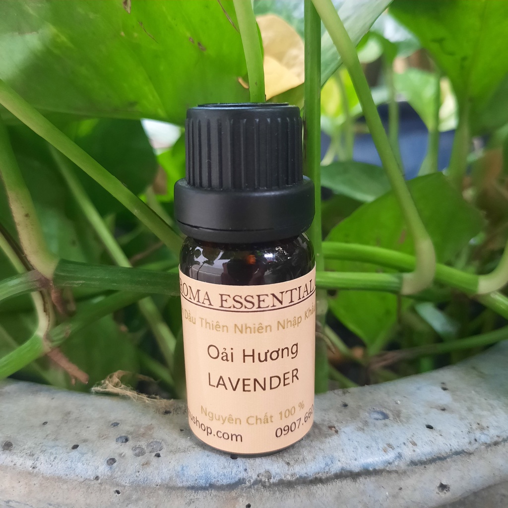 Tinh dầu thiên nhiên oải hương Lavender