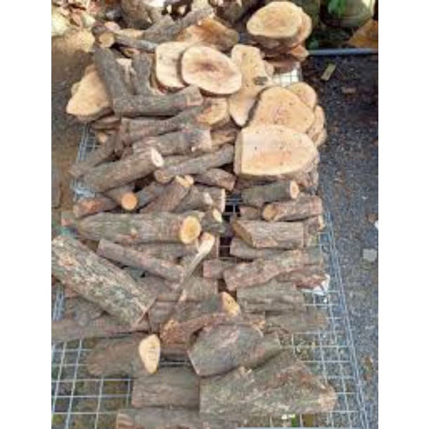 5 Khúc gỗ vú sữa ghép lan đường kính 6cm-8cm dài 20cm