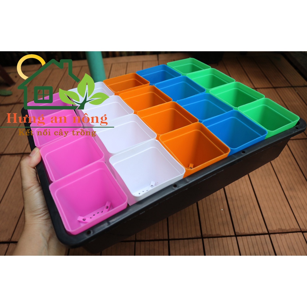 KC36L1 - Sét khay 36cm + 20 chậu vuông màu 7cm tiện trồng sen đá xương rồng
