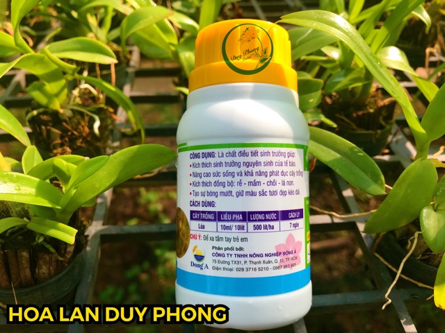 Thuốc Điều Hoà Sinh Trưởng LITOSEN 1.95EC - Kích thích rễ, mầm, chồi, lá non - Chai 100ml