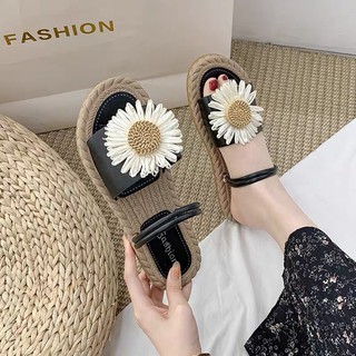 Sandan hoa cúc đế cói- Siêu cute