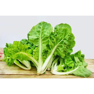 10gr hạt giống cải bẹ dún