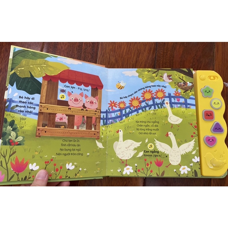 Sách Âm Thanh Các Loài Vật Quanh Em