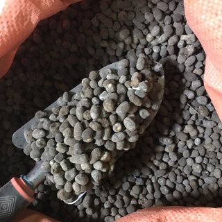 Phân dê đã qua xử lý túi 1kg