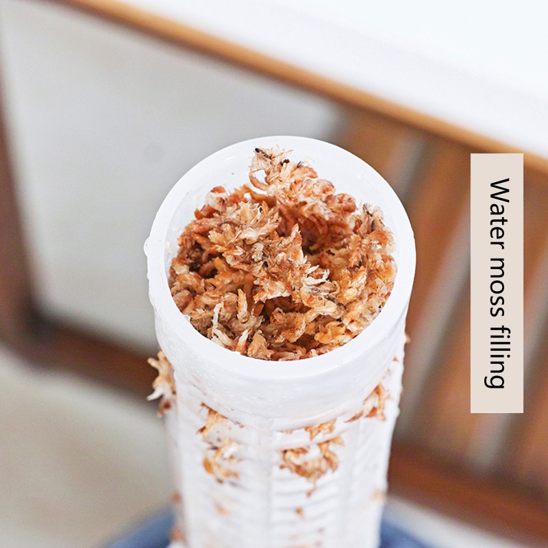 Gậy Leo Trèo Siêu Bền Tiện Dụng Cho Sân Vườn