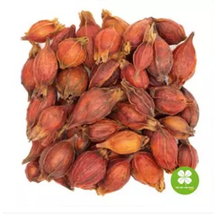Hạt dành dành (gói 1kg) - VTT132
