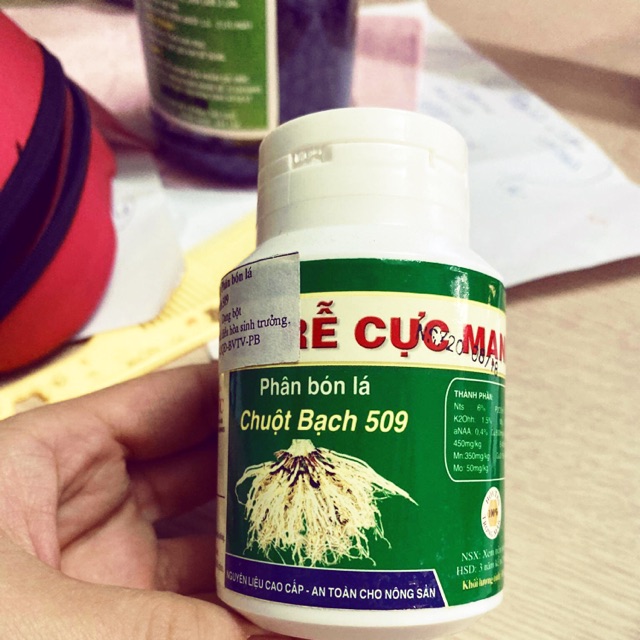 Ra rễ cực mạnh HPV