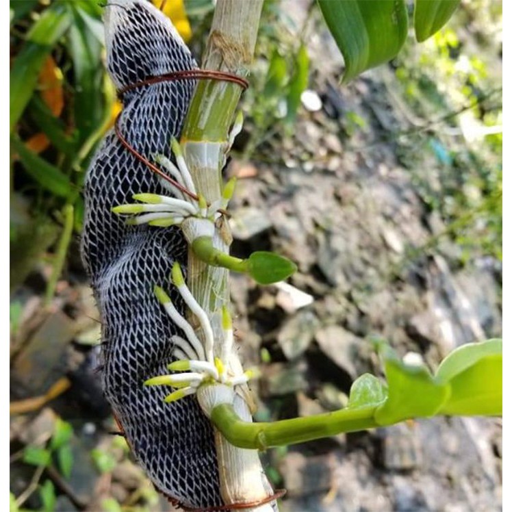 1kg túi lưới đựng phân dê - LNC