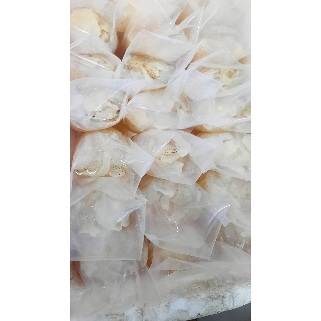 🎁🎁 1kg Sứa biển. Sứa biển làm gỏi. Sứa biển làm nộm. Bún sứa. Lẩu sứa. Sứa biển ăn liền. | BigBuy360 - bigbuy360.vn