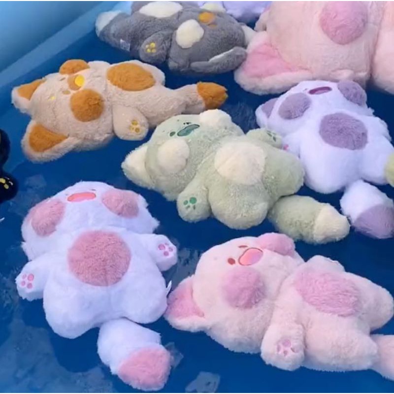 Gấu bông gấu mèo Racoon dudu meow 30cm, 40cm và 60cm