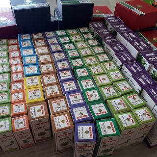 Combo tinh dầu tràm
