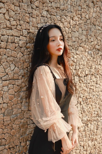 Đầm dự tiệc tay voan đính ngọc dễ thương | BigBuy360 - bigbuy360.vn