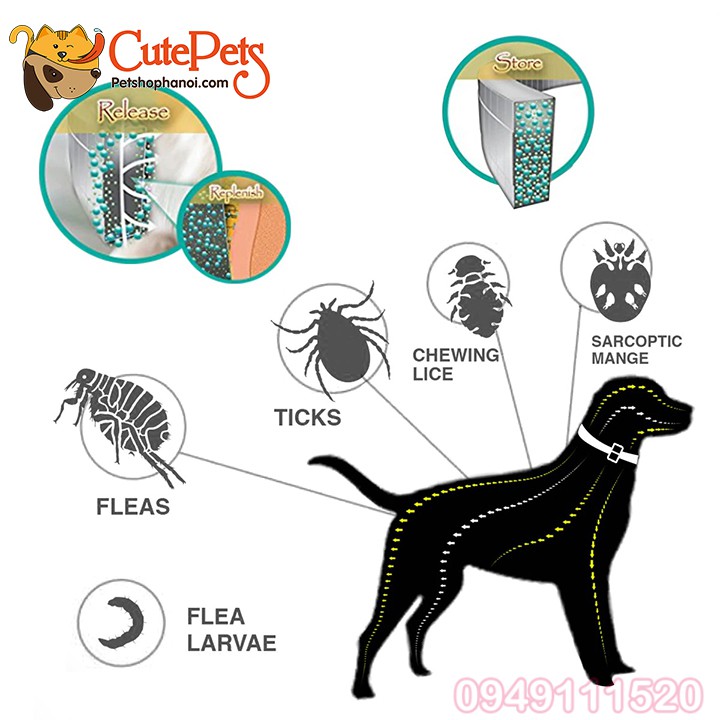 Vòng cổ chống ve rận Flea And Tick Collar - CutePets