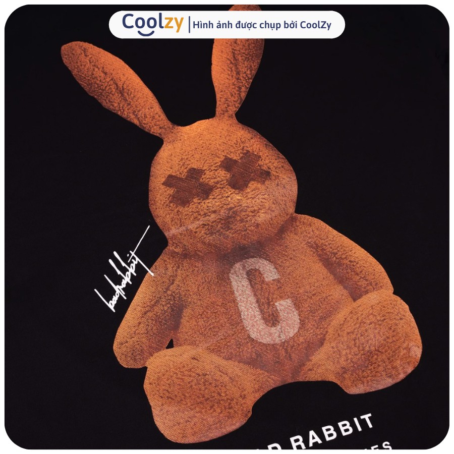 Áo thun tay lỡ RABBIT.C NÂU form rộng Unisex nam nữ phong cách Ulzzang | CoolZy | BigBuy360 - bigbuy360.vn