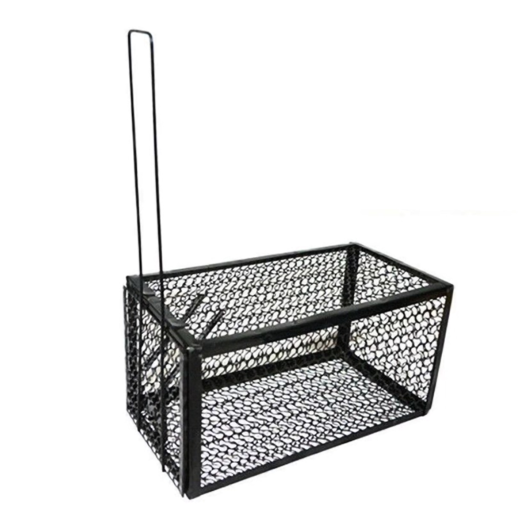 Bẫy bắt chuột tự động bằng thép không gỉ