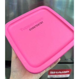 Hộp bảo quản thực phẩm Medium Square Round (màu inb)
