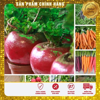 GIẢM 70K COMBO 08 gói hạt giống Củ Các Loại