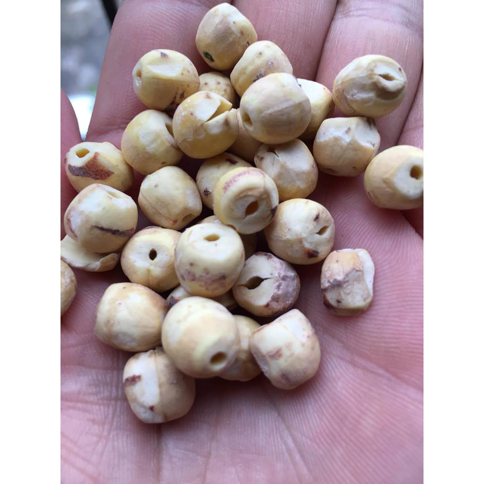 Hạt Sen Bắc Loại Đặc Biệt gói 300-500g Hút chân không
