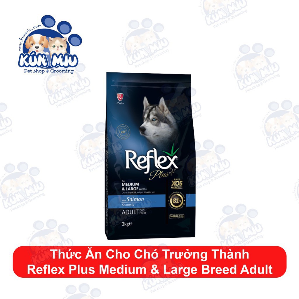 Thức Ăn Cho Chó Trưởng Thành REFLEX PLUS MEDIUM &amp; LARGE BREED ADULT Cá Hồi