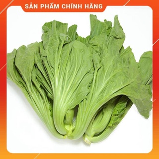 Hạt giống cải bẹ dưa cao sản gói 20gr