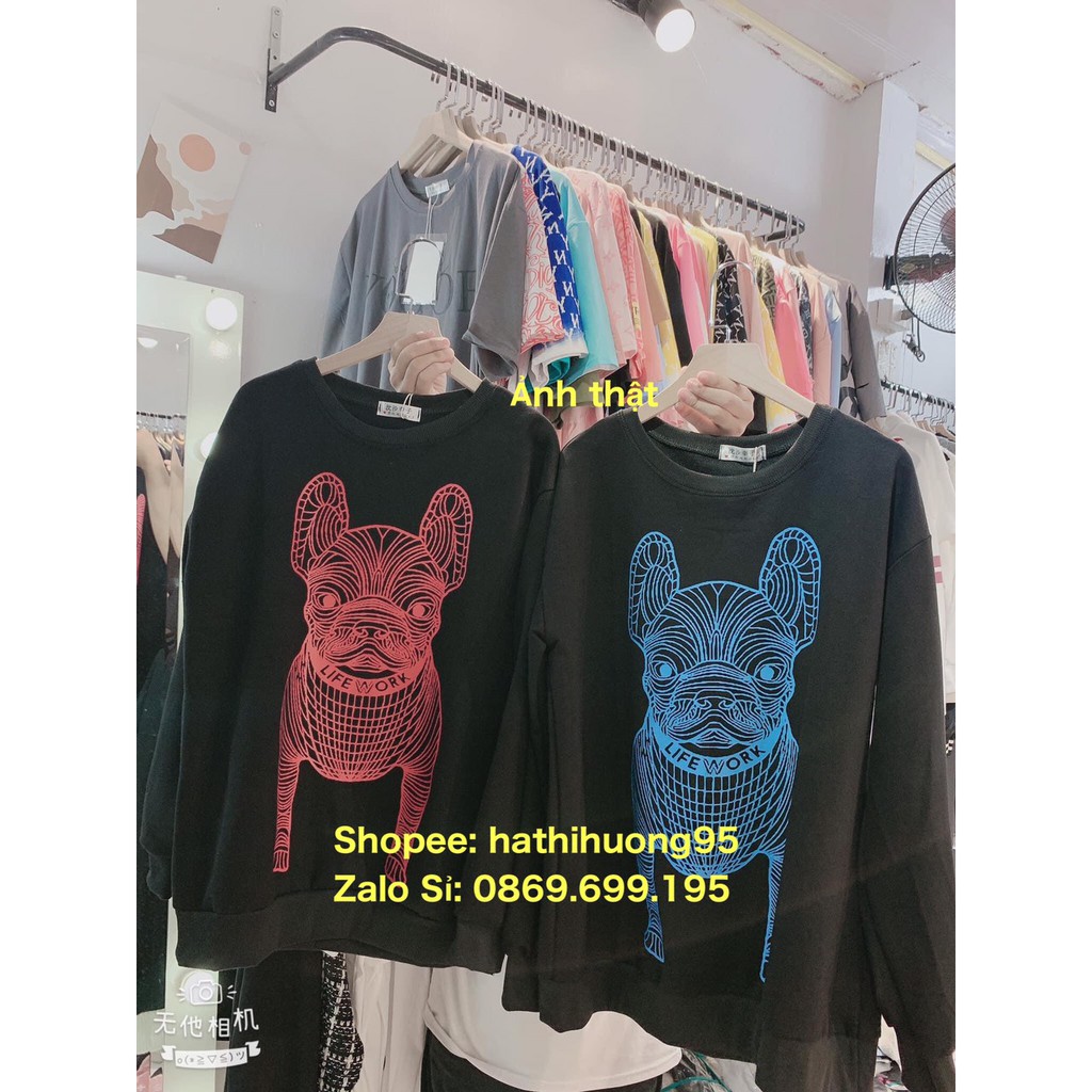 [ Hàng Hót ] Áo Nỉ Dài Tay Hình Thú mới về Siêu Hót | BigBuy360 - bigbuy360.vn