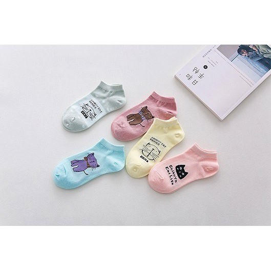 SALE SỐC Tất cotton thấm hút mồ hôi mix màu