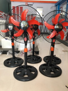 Quạt cây 5 cánh