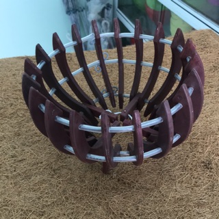 Chậu nhựa giả gỗ bí trồng lan