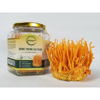 Nấm Đông Trùng Hạ Thảo CordyHappy tươi