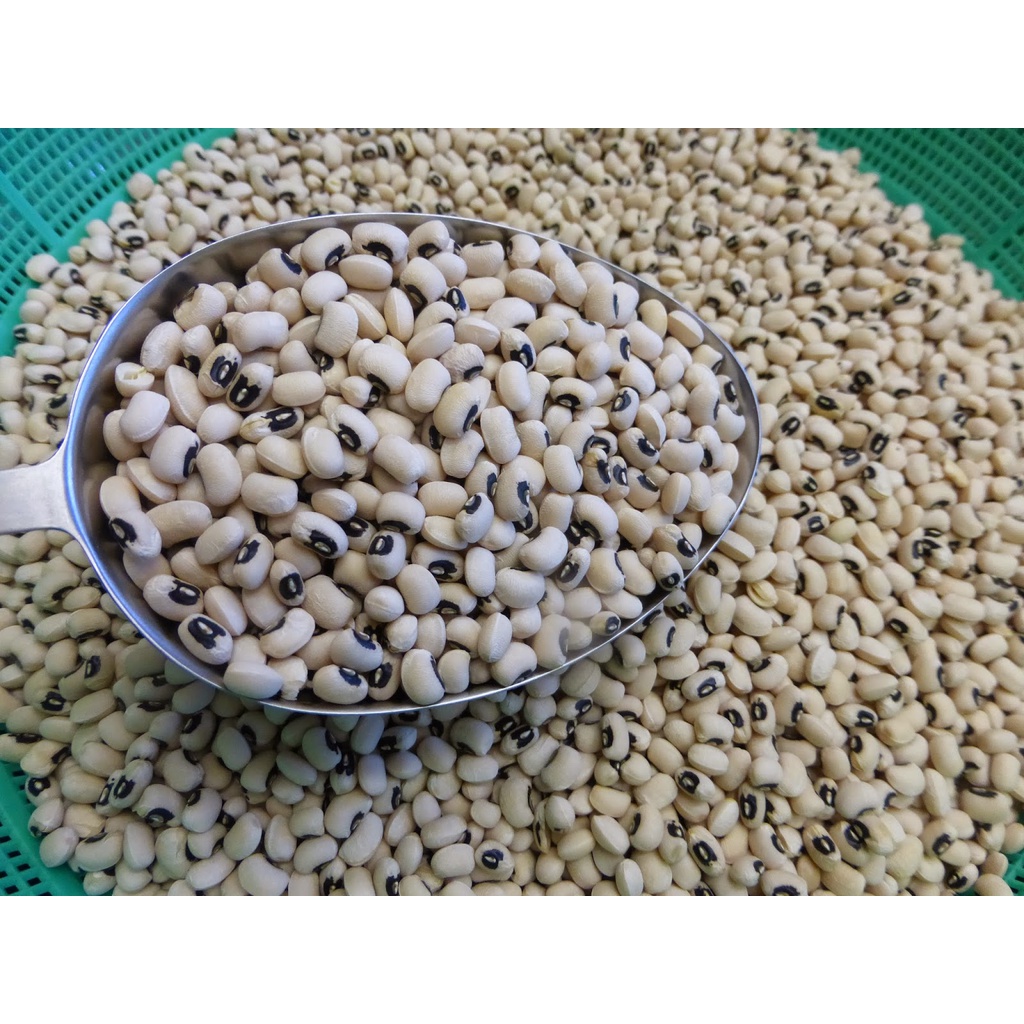 Đậu trắng bi túi 500g