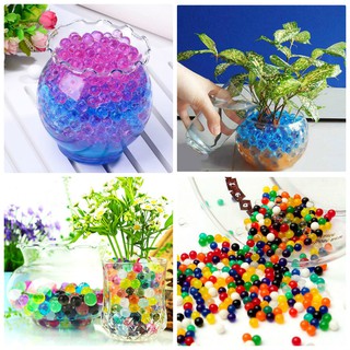 50g hạt tinh thể trồng cây - khoảng 5000 viên