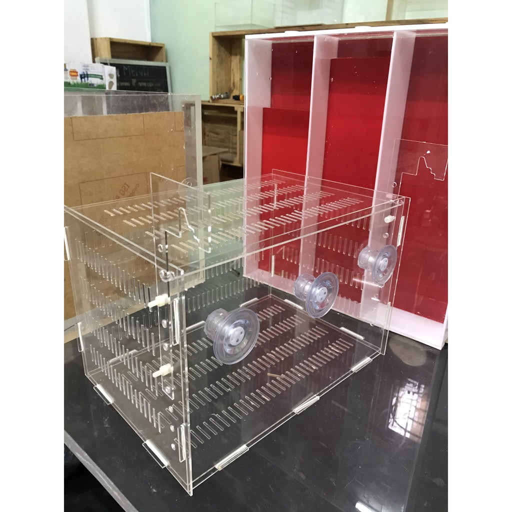 Bể Acrylic. Hít chân không treo lồng dưỡng cá, tép, san ho