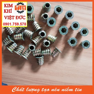 Túi ốc cấy gỗ phi 8 - 100 con