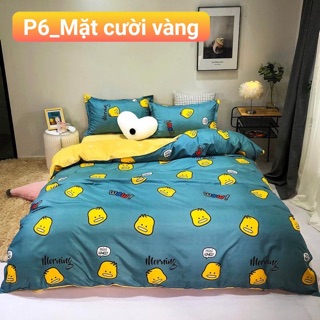 Sét chăn ga gối cotton poly