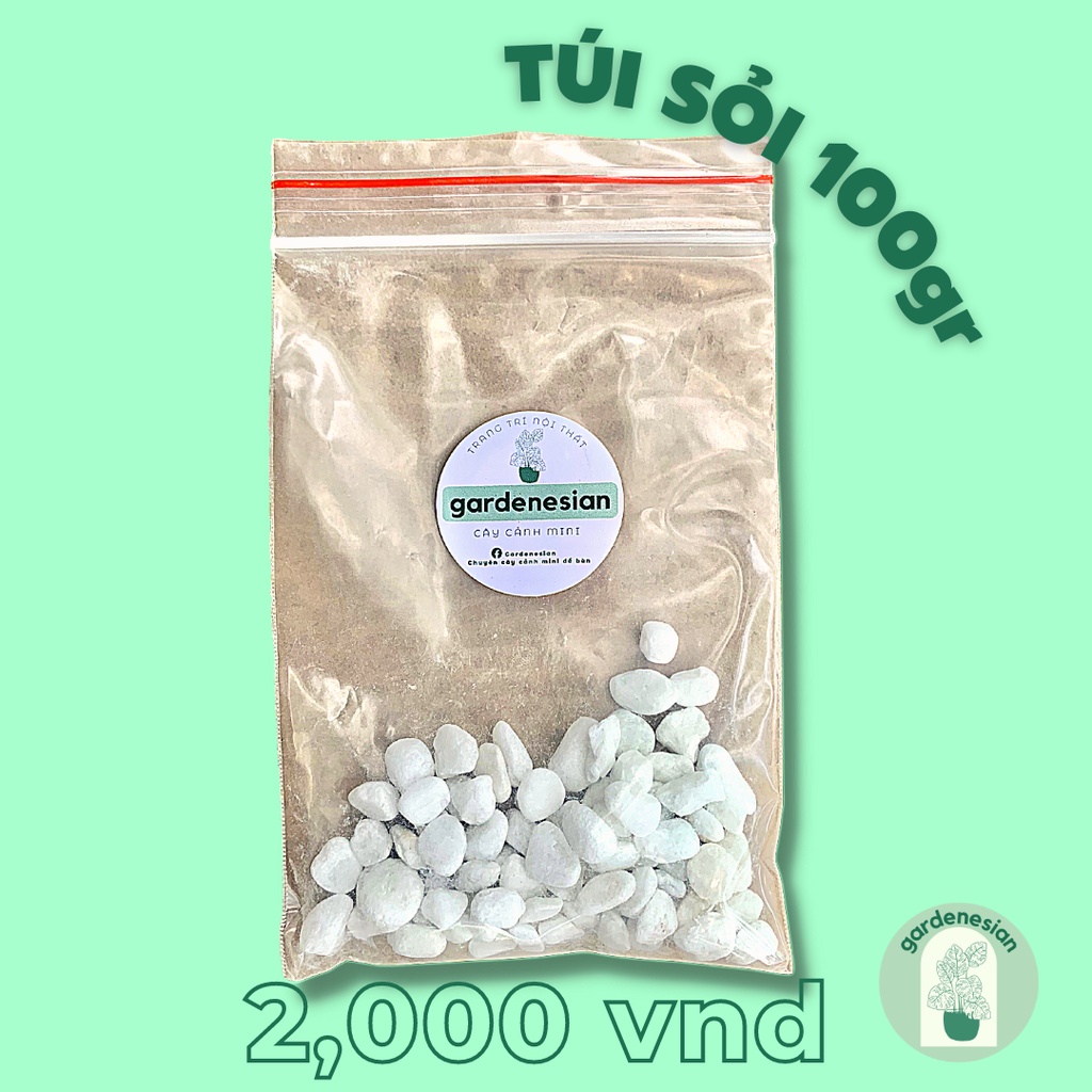 Sỏi Trắng Nhỏ GARDENESIAN 5-8mm Trang Trí Chậu Cây Cảnh, Tiểu Cảnh, Terrarium, Bể Cá