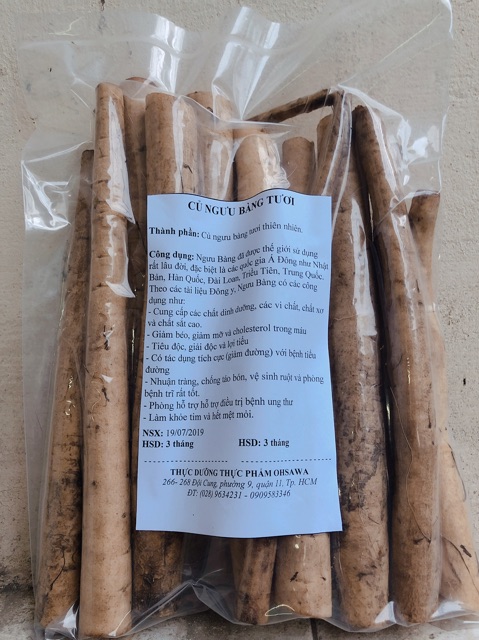 Củ Ngưu Bàng Tươi 1 Kg