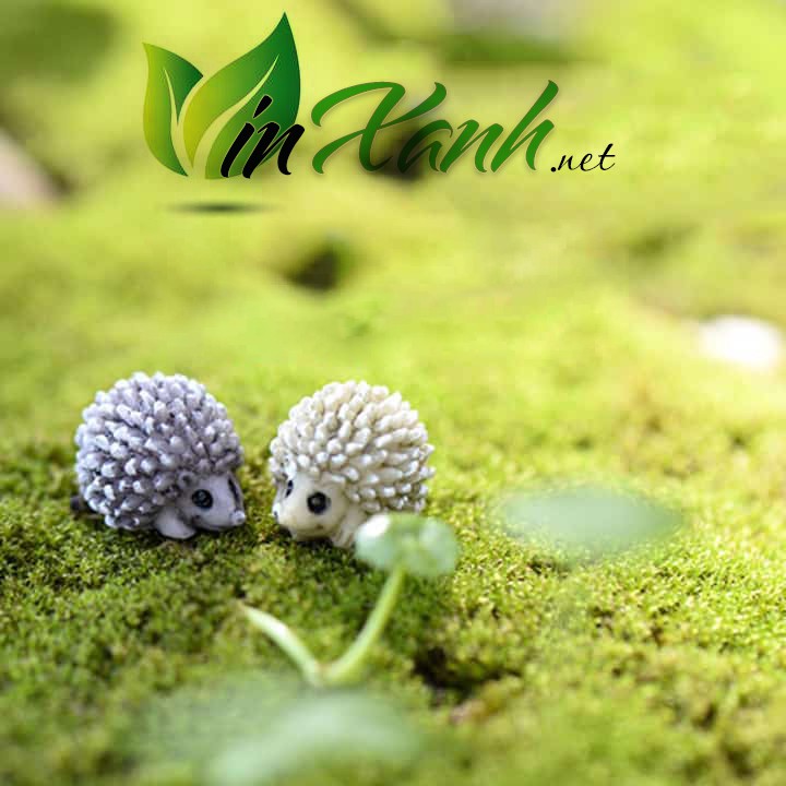 Phụ kiện nhím mini trang trí tiểu cảnh, terrarium, hồ cá