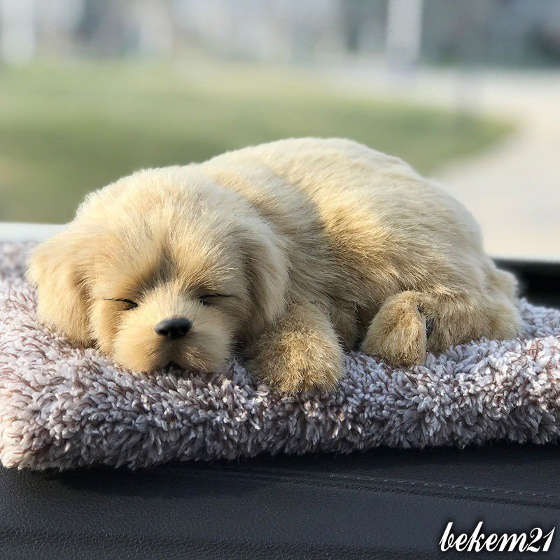 MÈO TRẮNG lông mượt lõi than hoạt tính lọc không khí khử mùi-taplo xe hơi ô tô Thú bông Chó mèo than hoạt tính