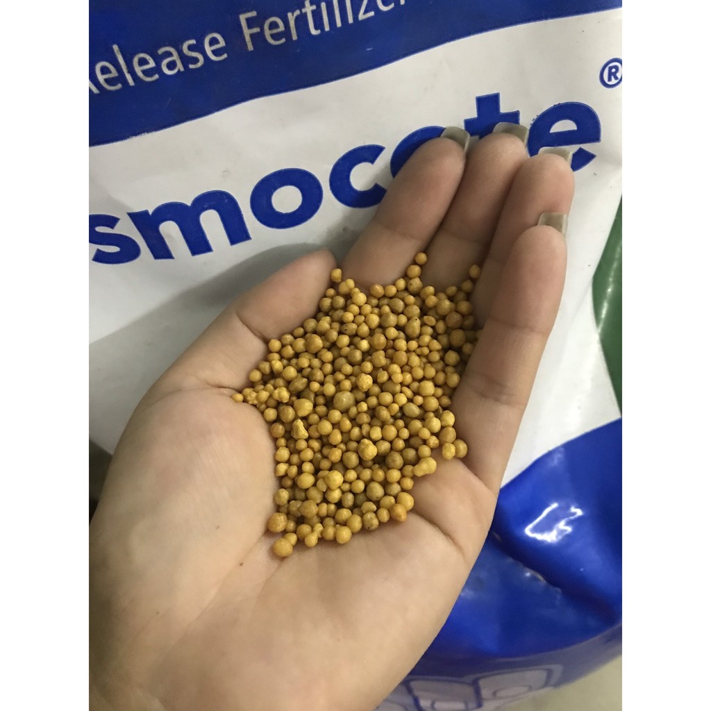 Phân tan chậm NPK Osmocote 14-14-14 gói 100g