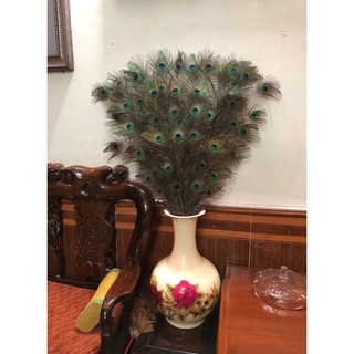 lông công phong thủy