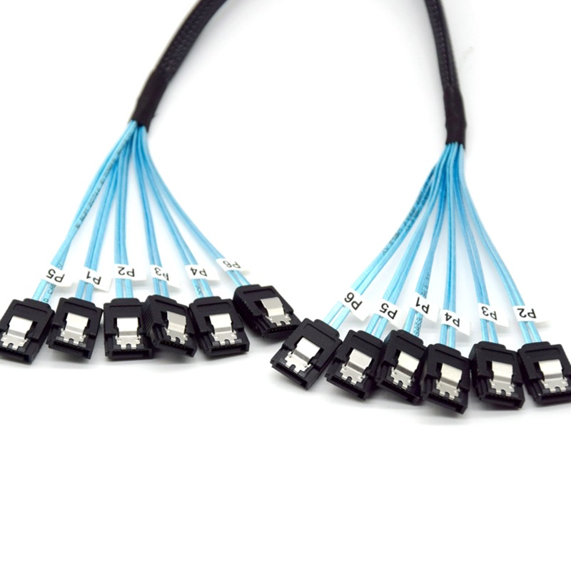 Dây Cáp Chuyển Đổi Mini Sang SFF-8643 Cho Ổ Cứng Raid