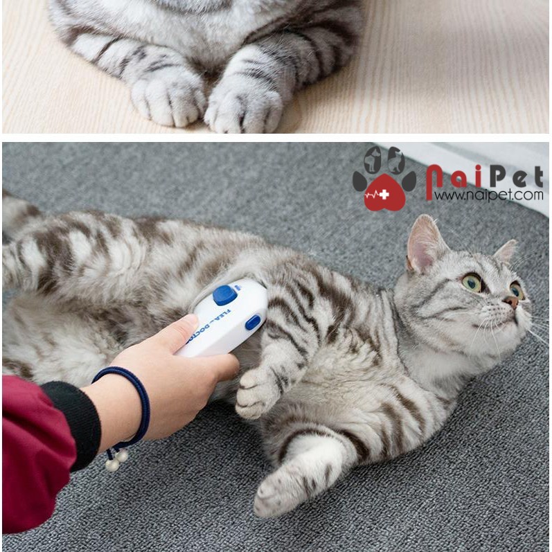 Lược Chải Điện Tử Diệt Ve Rận Bọ Chét Chó Mèo Flea Doctor