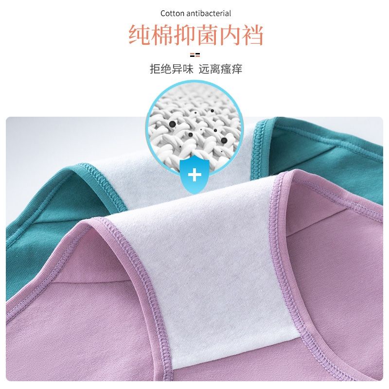 Quần Lót Nữ Coton Cạp Su Phối Chữ Inter Kháng Khuẩn Tông Màu Cá Tính mã QL58