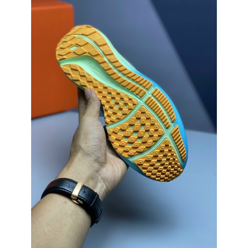 Giày Thể Thao Nike Pegasus 39