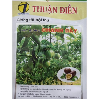 Chanh dây thuận điền 20 hạt
