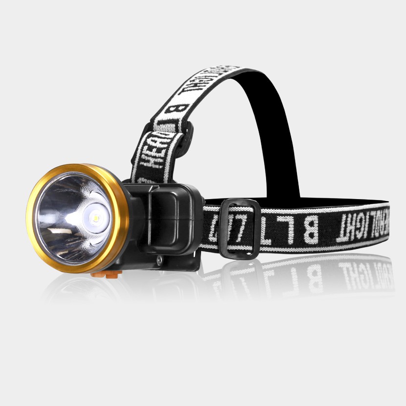 Đèn pin đội đầu Điện Quang ĐQ PFL16 R BLY WW