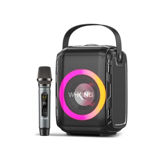 Loa bluetooth w-king t9s wking