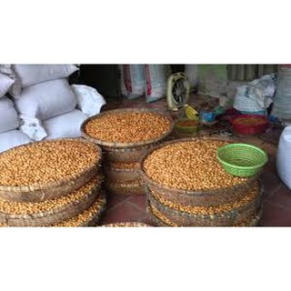 Chiếu Gỗ Mian.vn , Chiếu Hạt Gỗ Pơ Mu ( video , hình thật )