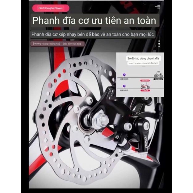 Xe Đạp Gấp 20 icnh Phoenix  sẵn hàng